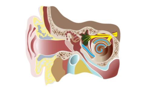 耳膜穿孔对听力影响有多少？