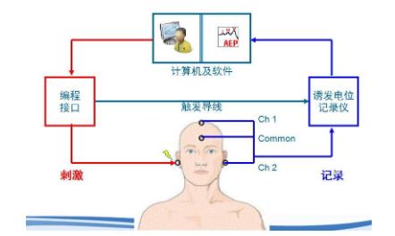 听力下降怎么办？(图3)