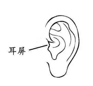 人耳听觉的基本特性是什么？   
